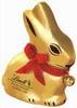 Lindt Bunny (Happy Easter)