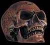 Omega Skull 