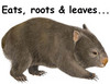 Yer typical Wombat....