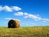 Fresh Straw Bale