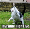 An Invisible High Five! DOH!