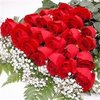 2 Dozen Premium Red Roses