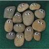 Pet Rocks