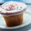A Sprinkled Cream Cupcake™