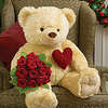 Be my Valentine Teddy Bear