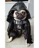 Dog Vader