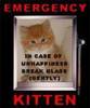 Emergency Kitten:For Unhappiness