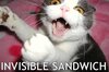 a Invisible sandwich