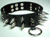 Studded Collar