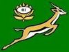Springbok logo (world champions)