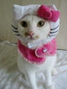 nice kitty cat dress