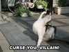 Curse You Villain!!