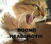 Boom! Headshot!!