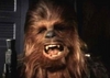 Chewbacca rocks!