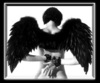 A Black Winged Angel