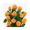 1 Doz Orange Roses