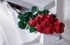 long stem red roses