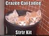 Cat Lady Starter Kit