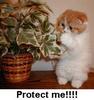 Protect Me!