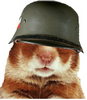 Hamster Helmet