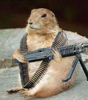 Heavily Armed Gopher