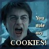 Did you take my cookie?