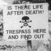 Is There Life After Death?
