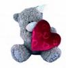 Bear with a Big Heart