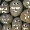 Human Pets Rocks ღ