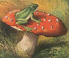 a Frog on a 'Shroom