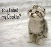 My cookie?