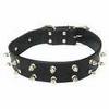 Studded Collar