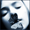 ☆ Butterfly Kisses ☆