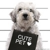 Wanted: for being TOO CUTE!!