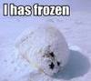 I Has Frozen! :[