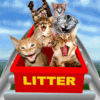 cats on rollercoaster