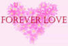 Forver Love
