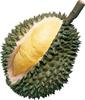 durian durian  