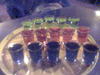 15 shots of sours