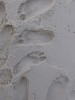 Footprints