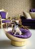 Luxury Pet bed