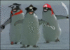Pirate Penguin's