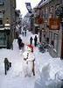 taken to the carnaval of quebec