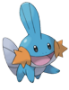 a mudkip  (you leik him?) 