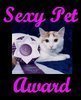 Sexy Pet award