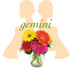 Flowers for Gemini