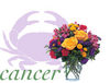 Flowers for Cancer