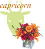 Flowers for Capricorn