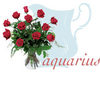 Flowers for Aquarius