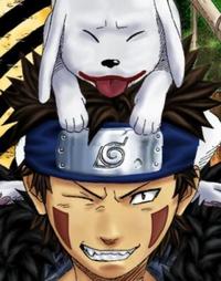 Kiba 